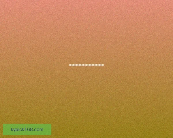 开云体育APP全面升级带来极致运动体验与互动服务