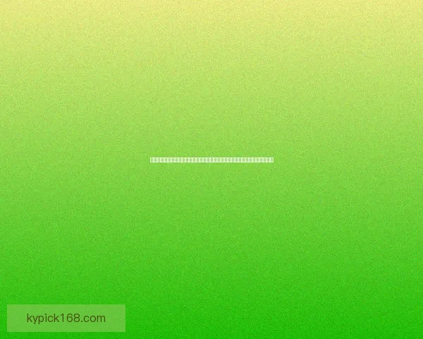 开云体育投注平台全面解析：高赔率、便捷操作与安全保障引领体育娱乐新潮流